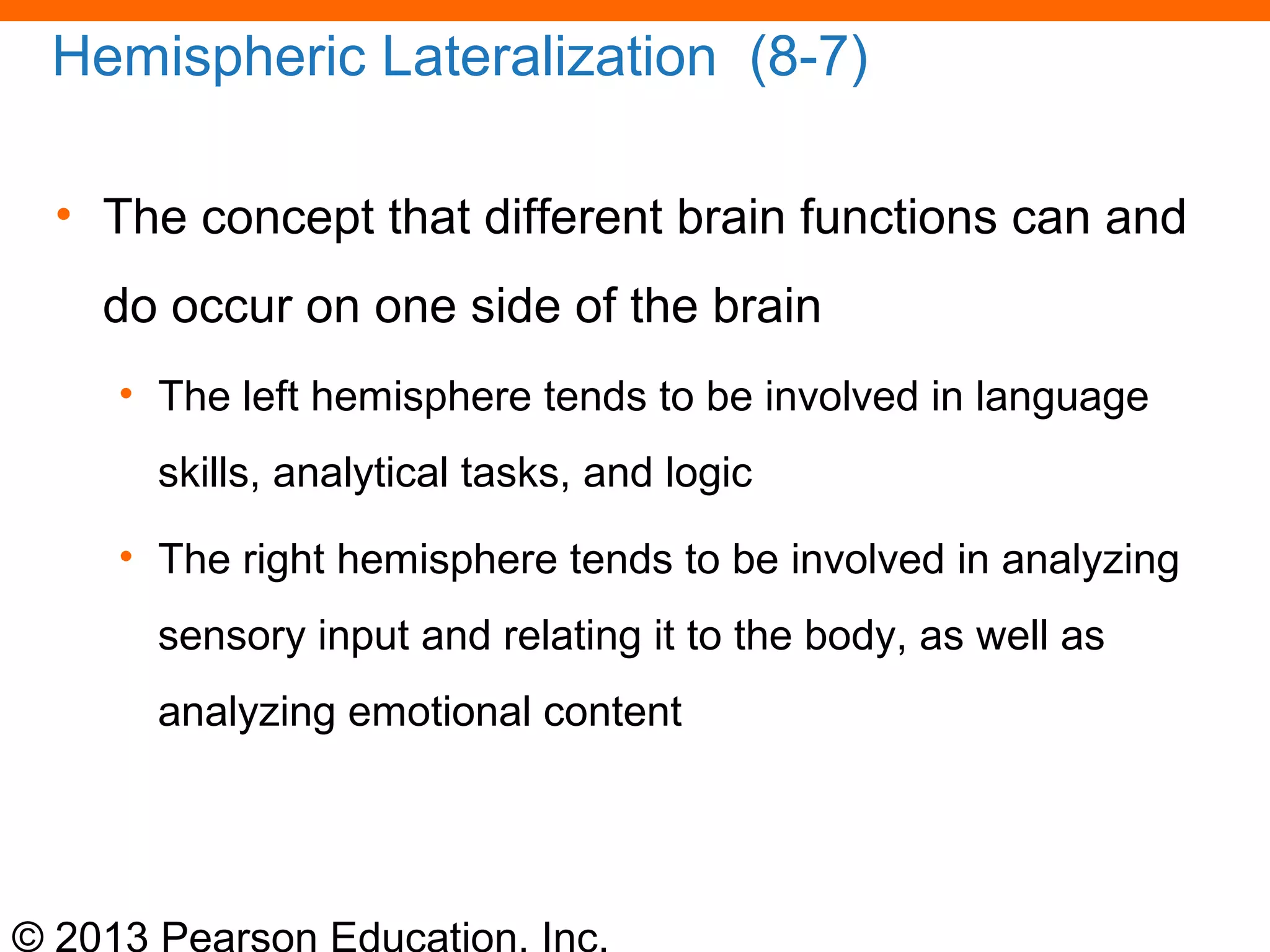 © 2013 Pearson Education, Inc.
Hemispheric Lateralization (8-7)
• The concept that different brain functions can and
do occur on one side of the brain
• The left hemisphere tends to be involved in language
skills, analytical tasks, and logic
• The right hemisphere tends to be involved in analyzing
sensory input and relating it to the body, as well as
analyzing emotional content
 