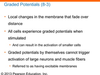 characteristics of graded potentials