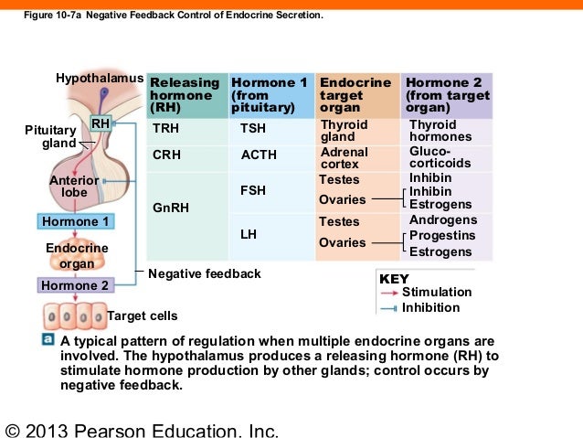 163 ch 10_lecture_presentation