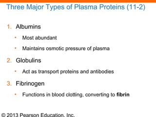 © 2013 Pearson Education, Inc.
Three Major Types of Plasma Proteins (11-2)
1. Albumins
• Most abundant
• Maintains osmotic pressure of plasma
2. Globulins
• Act as transport proteins and antibodies
3. Fibrinogen
• Functions in blood clotting, converting to fibrin
 