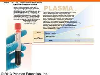 © 2013 Pearson Education, Inc.
PLASMAPlasma, the matrix of blood, makes up about 55% of the
volume of whole blood. In many respects, the
composition of plasma resembles that of interstitial
fluid. This similarity exists because water, ions, and
small solutes are continuously exchanged between
plasma and interstitial fluids across the walls of
capillaries. The primary differences between plasma and
interstitial fluid involve (1) the levels of respiratory gases
(oxygen and carbon dioxide, due to the respiratory
activities of tissue cells), and (2) the concentrations and
types of dissolved proteins (because plasma proteins
cannot cross capillary walls).
Blood is a fluid connective tissue with a
unique composition. It consists of a matrix
called plasma (PLAZ-muh) and formed
elements (cells and cell fragments). The term
whole blood refers to the combination of
plasma and the formed elements together.
The cardiovascular system of an adult male
contains 5–6 liters (5.3–6.4 quarts) of whole
blood; that of an adult female contains 4–5
liters (4.2–5.3 quarts). The sex differences in
blood volume primarily
reflect differences in
average body size. 7%
1%
92%
Plasma Proteins
Other Solutes
Water
55%
(Range: 46–63%)
Plasma
A Fluid Connective Tissue
consists of
Figure 11-1-1 The Composition of Whole Blood
 