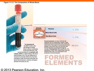 © 2013 Pearson Education, Inc.
Platelets
White Blood Cells
Red Blood Cells
Formed
Elements
45%
(Range: 37–54%)
consists of
< .1%
99.9%
< .1%
Formed elements are blood cells and cell
fragments that are suspended in plasma. These
elements account for about 45% of the volume of
whole blood. Three types of formed elements exist:
platelets, white blood cells, and red blood cells.
Formed elements are produced through the
process of hemopoiesis (hēm-ō-poy-Ē-sis). Two
populations of stem cells—myeloid stem cells and
lymphoid stem cells—are responsible for the
production of formed elements.
The hematocrit
(he-MAT-ō-krit) is the
percentage of whole
blood volume contributed
by formed elements. The
normal hematocrit, or packed cell
volume (PCV), in adult males is 46 and in
adult females is 42. The sex difference in
hematocrit primarily reflects the fact that
androgens (male hormones) stimulate red
blood cell production, whereas estrogens
(female hormones) do not.
FORMED
ELEMENTS
Figure 11-1-2 The Composition of Whole Blood
 