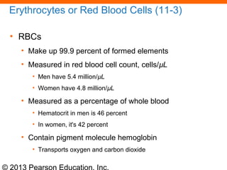 © 2013 Pearson Education, Inc.
Erythrocytes or Red Blood Cells (11-3)
• RBCs
• Make up 99.9 percent of formed elements
• Measured in red blood cell count, cells/µL
• Men have 5.4 million/µL
• Women have 4.8 million/µL
• Measured as a percentage of whole blood
• Hematocrit in men is 46 percent
• In women, it's 42 percent
• Contain pigment molecule hemoglobin
• Transports oxygen and carbon dioxide
 