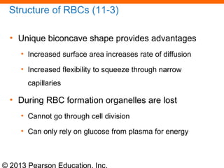 © 2013 Pearson Education, Inc.
Structure of RBCs (11-3)
• Unique biconcave shape provides advantages
• Increased surface area increases rate of diffusion
• Increased flexibility to squeeze through narrow
capillaries
• During RBC formation organelles are lost
• Cannot go through cell division
• Can only rely on glucose from plasma for energy
 