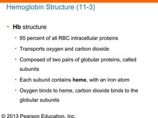 © 2013 Pearson Education, Inc.
Hemoglobin Structure (11-3)
• Hb structure
• 95 percent of all RBC intracellular proteins
• Transports oxygen and carbon dioxide
• Composed of two pairs of globular proteins, called
subunits
• Each subunit contains heme, with an iron atom
• Oxygen binds to heme, carbon dioxide binds to the
globular subunits
 