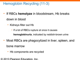© 2013 Pearson Education, Inc.
Hemoglobin Recycling (11-3)
• If RBCs hemolyze in bloodstream, Hb breaks
down in blood
• Kidneys filter out Hb
• If a lot of RBCs rupture at once it causes
hemoglobinuria, indicated by reddish-brown urine
• Most RBCs are phagocytized in liver, spleen, and
bone marrow
• Hb components are recycled
 