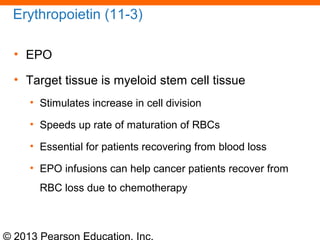 © 2013 Pearson Education, Inc.
Erythropoietin (11-3)
• EPO
• Target tissue is myeloid stem cell tissue
• Stimulates increase in cell division
• Speeds up rate of maturation of RBCs
• Essential for patients recovering from blood loss
• EPO infusions can help cancer patients recover from
RBC loss due to chemotherapy
 