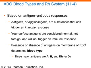 © 2013 Pearson Education, Inc.
ABO Blood Types and Rh System (11-4)
• Based on antigen–antibody responses
• Antigens, or agglutinogens, are substances that can
trigger an immune response
• Your surface antigens are considered normal, not
foreign, and will not trigger an immune response
• Presence or absence of antigens on membrane of RBC
determines blood type
• Three major antigens are A, B, and Rh (or D)
 