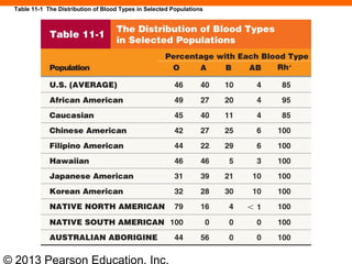 © 2013 Pearson Education, Inc.
Table 11-1 The Distribution of Blood Types in Selected Populations
 