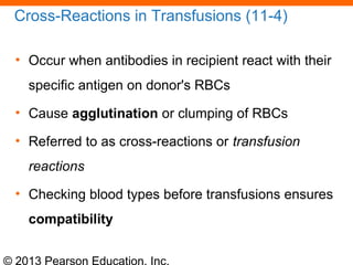 © 2013 Pearson Education, Inc.
Cross-Reactions in Transfusions (11-4)
• Occur when antibodies in recipient react with their
specific antigen on donor's RBCs
• Cause agglutination or clumping of RBCs
• Referred to as cross-reactions or transfusion
reactions
• Checking blood types before transfusions ensures
compatibility
 