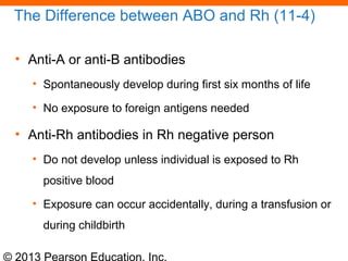 © 2013 Pearson Education, Inc.
The Difference between ABO and Rh (11-4)
• Anti-A or anti-B antibodies
• Spontaneously develop during first six months of life
• No exposure to foreign antigens needed
• Anti-Rh antibodies in Rh negative person
• Do not develop unless individual is exposed to Rh
positive blood
• Exposure can occur accidentally, during a transfusion or
during childbirth
 