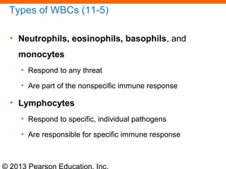 © 2013 Pearson Education, Inc.
Types of WBCs (11-5)
• Neutrophils, eosinophils, basophils, and
monocytes
• Respond to any threat
• Are part of the nonspecific immune response
• Lymphocytes
• Respond to specific, individual pathogens
• Are responsible for specific immune response
 