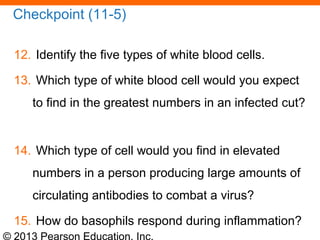 © 2013 Pearson Education, Inc.
Checkpoint (11-5)
12. Identify the five types of white blood cells.
13. Which type of white blood cell would you expect
to find in the greatest numbers in an infected cut?
14. Which type of cell would you find in elevated
numbers in a person producing large amounts of
circulating antibodies to combat a virus?
15. How do basophils respond during inflammation?
 