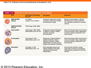 © 2013 Pearson Education, Inc.
Table 11-2 A Review of the Formed Elements of the Blood (1 of 2)
 