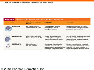 © 2013 Pearson Education, Inc.
Table 11-2 A Review of the Formed Elements of the Blood (2 of 2)
 