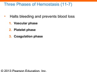© 2013 Pearson Education, Inc.
Three Phases of Hemostasis (11-7)
• Halts bleeding and prevents blood loss
1. Vascular phase
2. Platelet phase
3. Coagulation phase
 