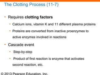 © 2013 Pearson Education, Inc.
The Clotting Process (11-7)
• Requires clotting factors
• Calcium ions, vitamin K and 11 different plasma proteins
• Proteins are converted from inactive proenzymes to
active enzymes involved in reactions
• Cascade event
• Step-by-step
• Product of first reaction is enzyme that activates
second reaction, etc.
 
