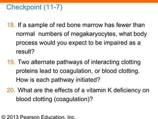 © 2013 Pearson Education, Inc.
Checkpoint (11-7)
18. If a sample of red bone marrow has fewer than
normal numbers of megakaryocytes, what body
process would you expect to be impaired as a
result?
19. Two alternate pathways of interacting clotting
proteins lead to coagulation, or blood clotting.
How is each pathway initiated?
20. What are the effects of a vitamin K deficiency on
blood clotting (coagulation)?
 