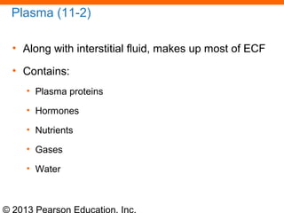 © 2013 Pearson Education, Inc.
Plasma (11-2)
• Along with interstitial fluid, makes up most of ECF
• Contains:
• Plasma proteins
• Hormones
• Nutrients
• Gases
• Water
 