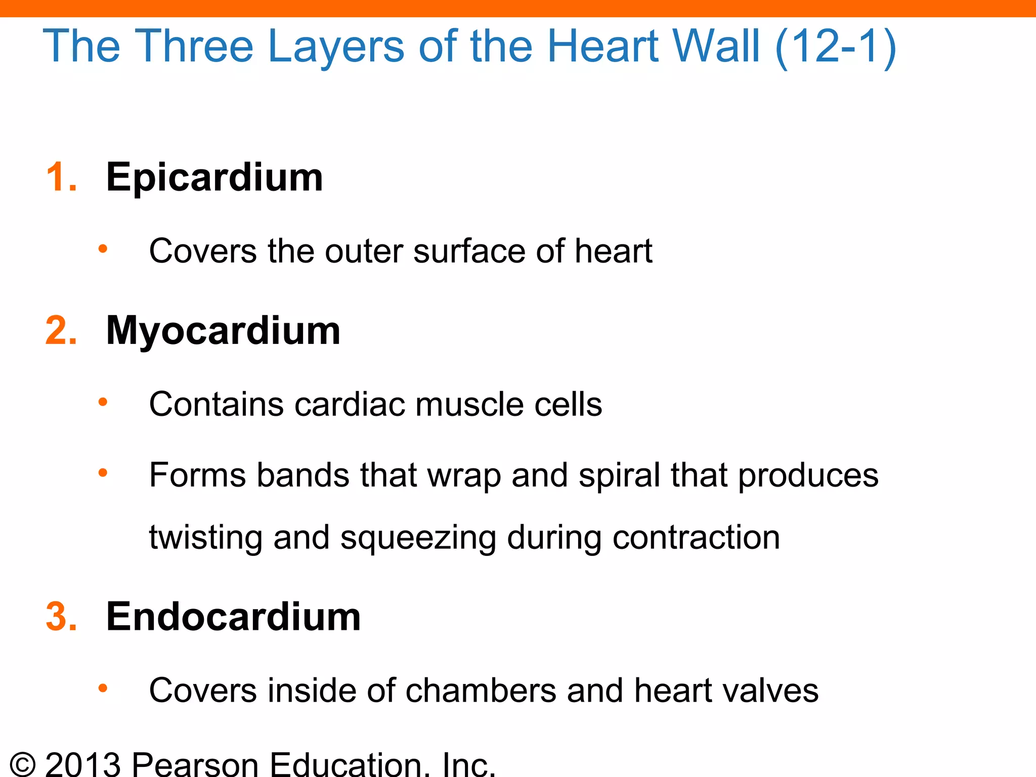 © 2013 Pearson Education, Inc.
The Three Layers of the Heart Wall (12-1)
1. Epicardium
• Covers the outer surface of heart
2. Myocardium
• Contains cardiac muscle cells
• Forms bands that wrap and spiral that produces
twisting and squeezing during contraction
3. Endocardium
• Covers inside of chambers and heart valves
 