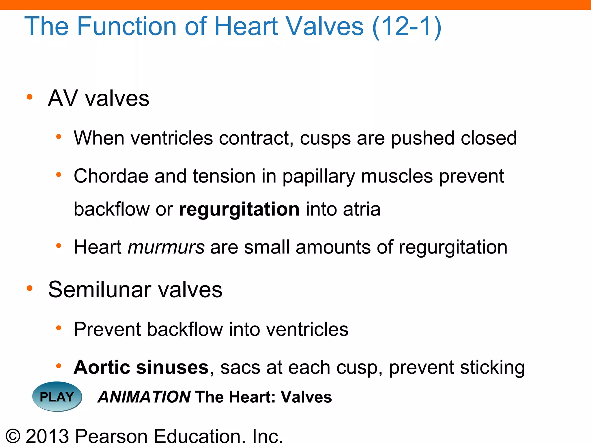 © 2013 Pearson Education, Inc.
The Function of Heart Valves (12-1)
• AV valves
• When ventricles contract, cusps are pushed closed
• Chordae and tension in papillary muscles prevent
backflow or regurgitation into atria
• Heart murmurs are small amounts of regurgitation
• Semilunar valves
• Prevent backflow into ventricles
• Aortic sinuses, sacs at each cusp, prevent sticking
PLAYPLAY ANIMATION The Heart: Valves
 