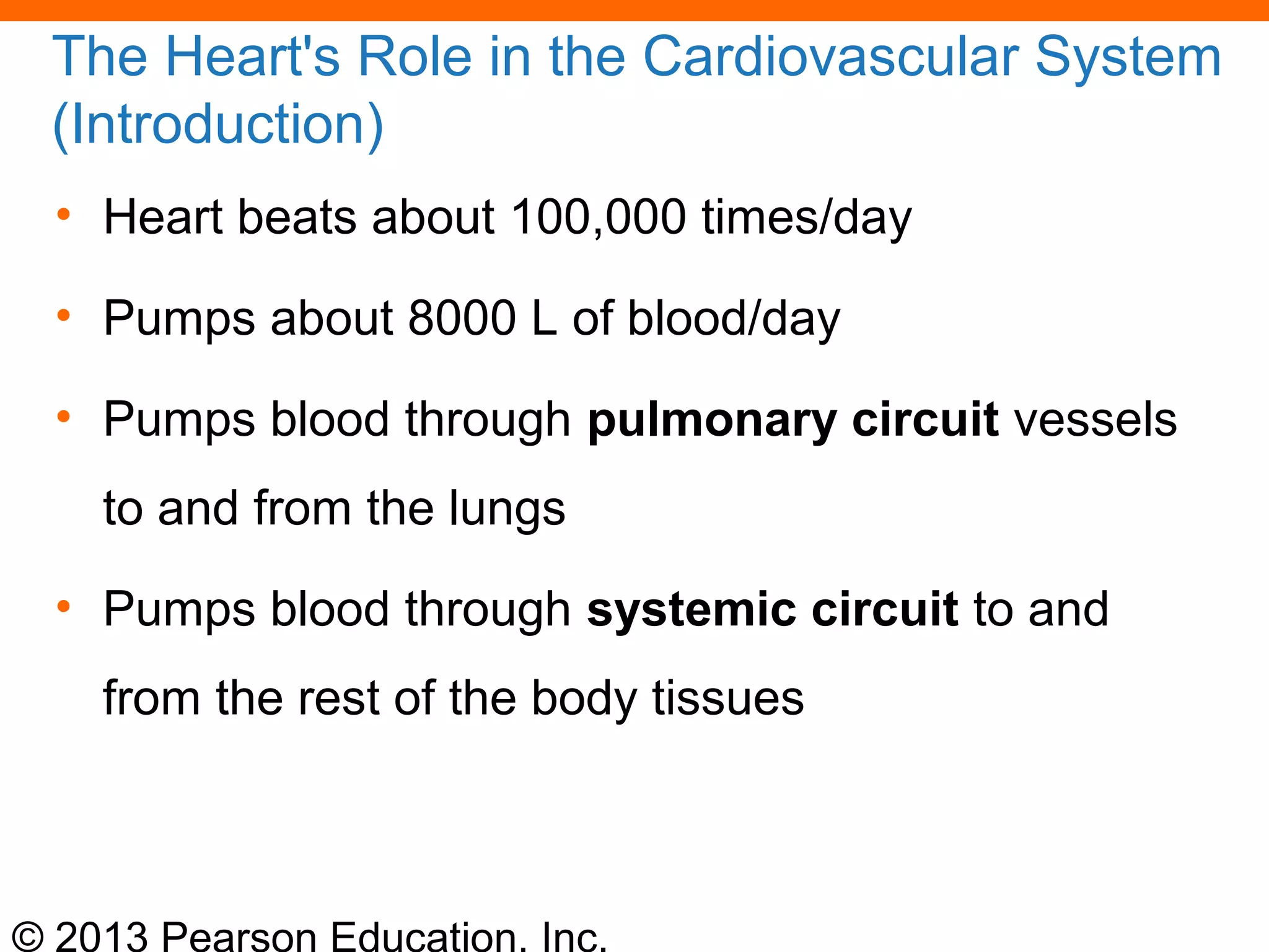 © 2013 Pearson Education, Inc.
The Heart's Role in the Cardiovascular System
(Introduction)
• Heart beats about 100,000 times/day
• Pumps about 8000 L of blood/day
• Pumps blood through pulmonary circuit vessels
to and from the lungs
• Pumps blood through systemic circuit to and
from the rest of the body tissues
 