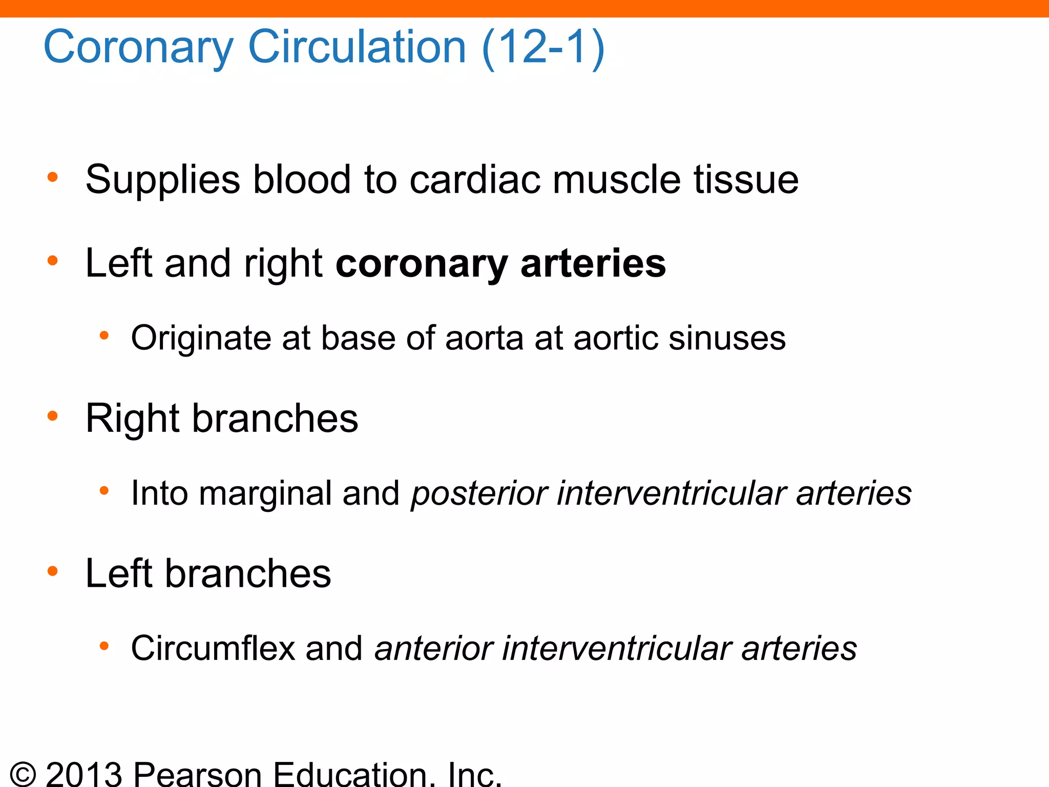 © 2013 Pearson Education, Inc.
Coronary Circulation (12-1)
• Supplies blood to cardiac muscle tissue
• Left and right coronary arteries
• Originate at base of aorta at aortic sinuses
• Right branches
• Into marginal and posterior interventricular arteries
• Left branches
• Circumflex and anterior interventricular arteries
 