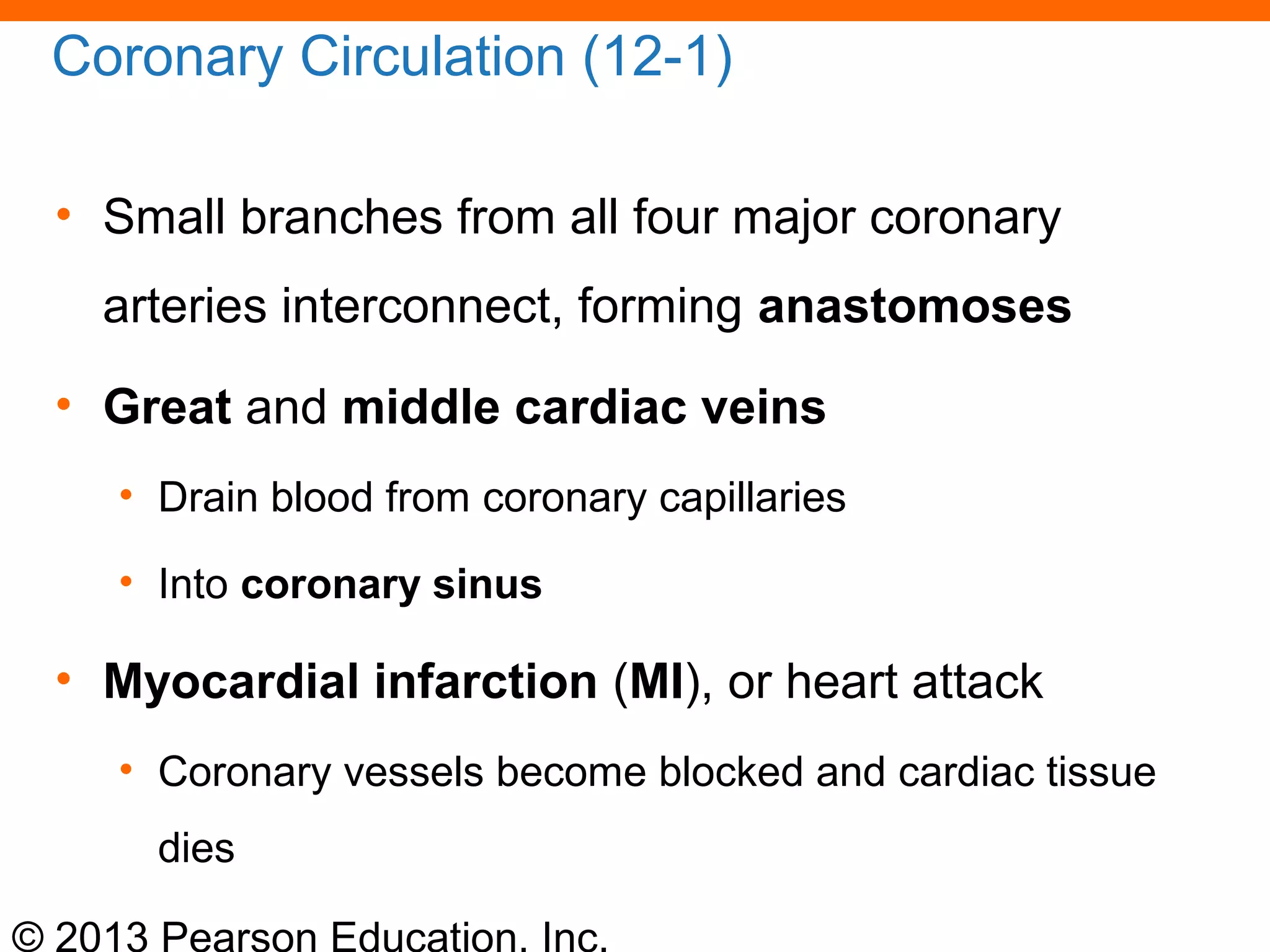 © 2013 Pearson Education, Inc.
Coronary Circulation (12-1)
• Small branches from all four major coronary
arteries interconnect, forming anastomoses
• Great and middle cardiac veins
• Drain blood from coronary capillaries
• Into coronary sinus
• Myocardial infarction (MI), or heart attack
• Coronary vessels become blocked and cardiac tissue
dies
 