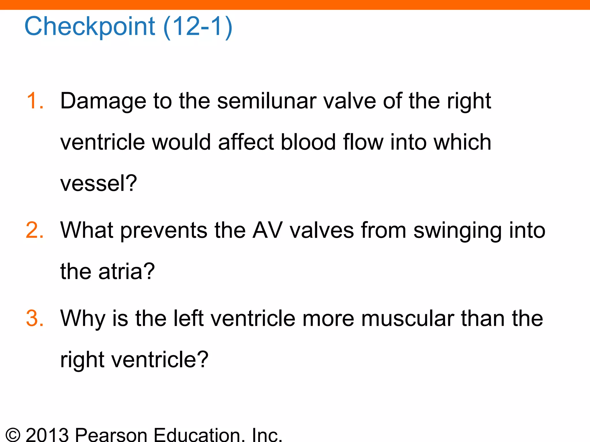 © 2013 Pearson Education, Inc.
Checkpoint (12-1)
1. Damage to the semilunar valve of the right
ventricle would affect blood flow into which
vessel?
2. What prevents the AV valves from swinging into
the atria?
3. Why is the left ventricle more muscular than the
right ventricle?
 