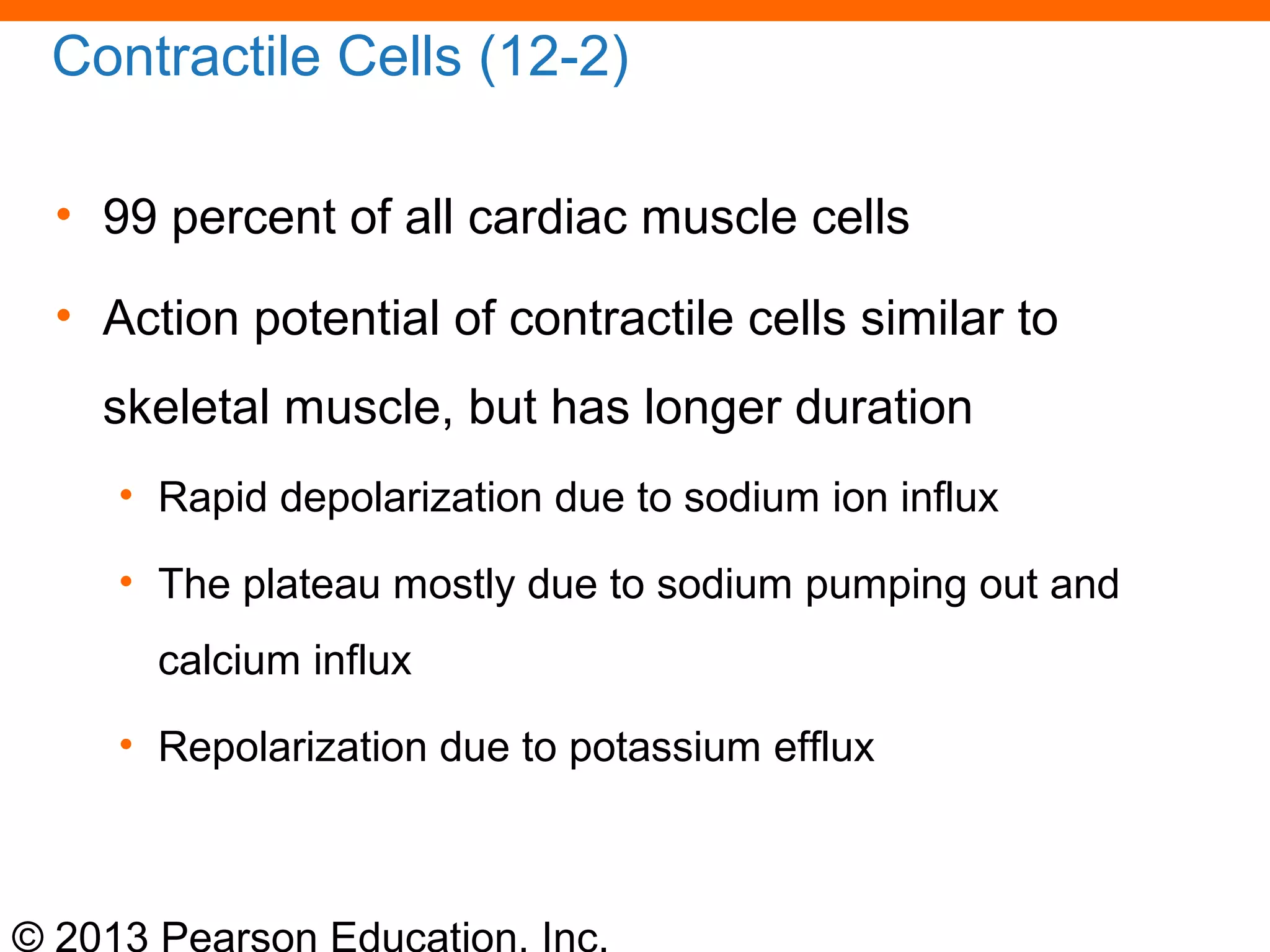 © 2013 Pearson Education, Inc.
Contractile Cells (12-2)
• 99 percent of all cardiac muscle cells
• Action potential of contractile cells similar to
skeletal muscle, but has longer duration
• Rapid depolarization due to sodium ion influx
• The plateau mostly due to sodium pumping out and
calcium influx
• Repolarization due to potassium efflux
 