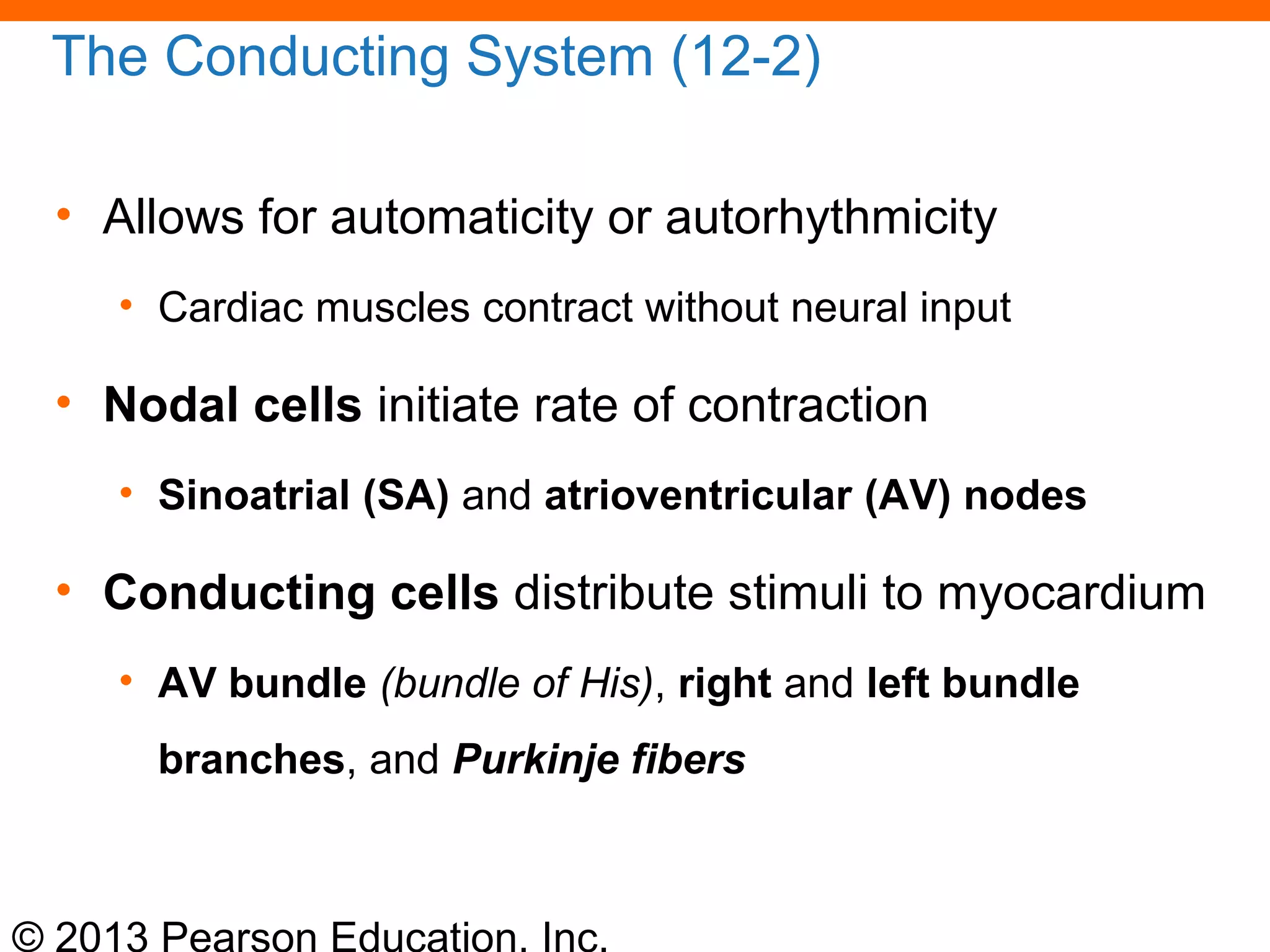 © 2013 Pearson Education, Inc.
The Conducting System (12-2)
• Allows for automaticity or autorhythmicity
• Cardiac muscles contract without neural input
• Nodal cells initiate rate of contraction
• Sinoatrial (SA) and atrioventricular (AV) nodes
• Conducting cells distribute stimuli to myocardium
• AV bundle (bundle of His), right and left bundle
branches, and Purkinje fibers
 