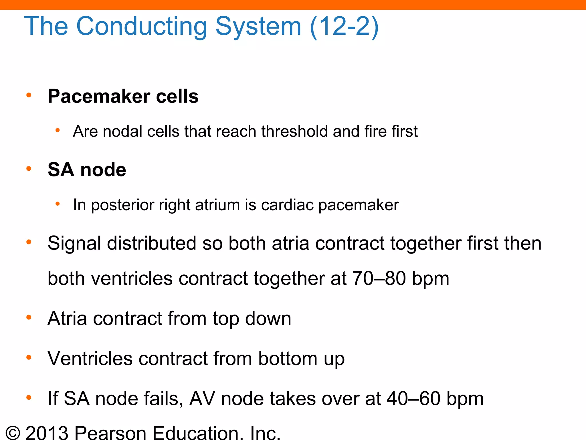 © 2013 Pearson Education, Inc.
The Conducting System (12-2)
• Pacemaker cells
• Are nodal cells that reach threshold and fire first
• SA node
• In posterior right atrium is cardiac pacemaker
• Signal distributed so both atria contract together first then
both ventricles contract together at 70–80 bpm
• Atria contract from top down
• Ventricles contract from bottom up
• If SA node fails, AV node takes over at 40–60 bpm
 