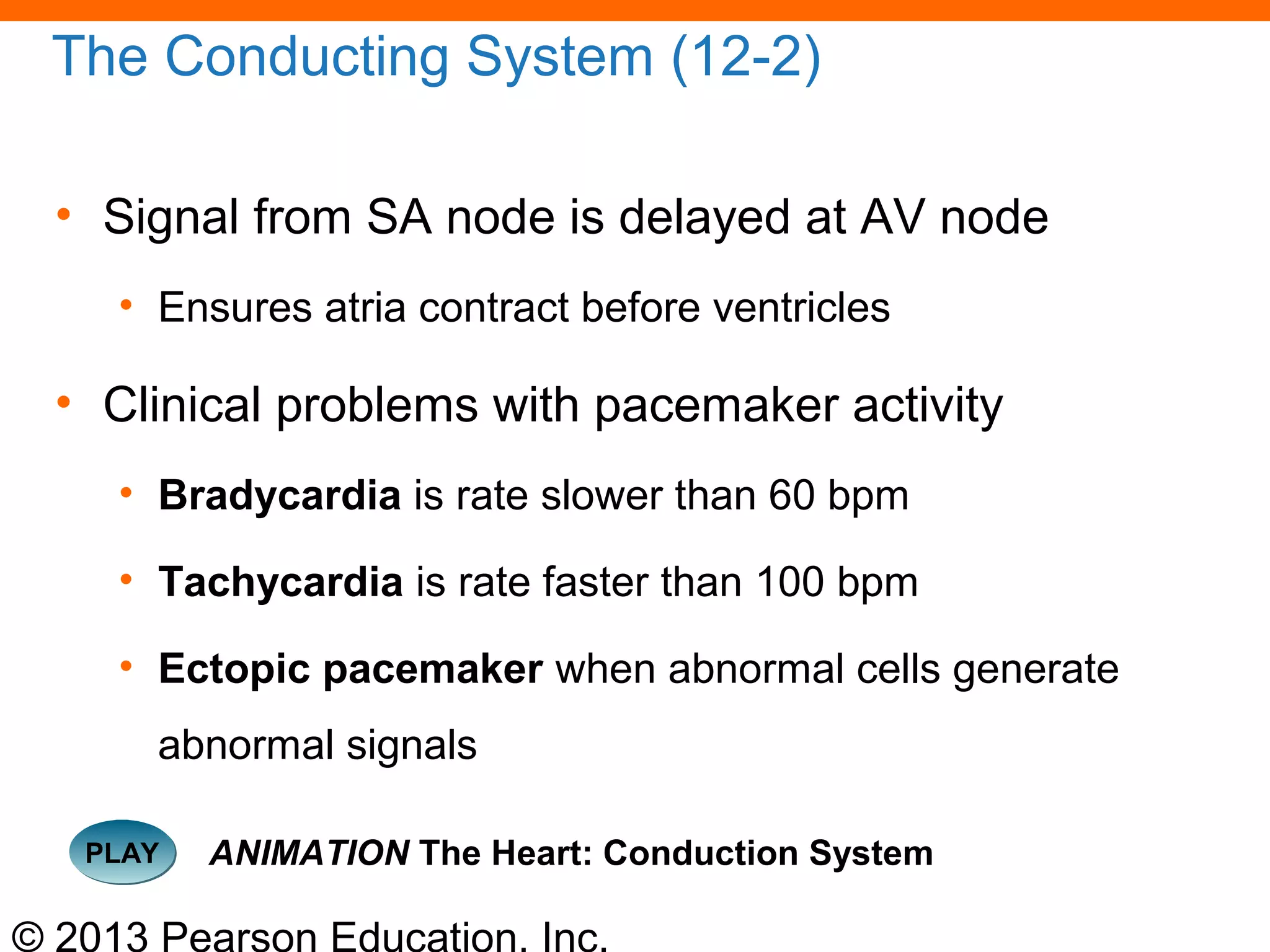 © 2013 Pearson Education, Inc.
The Conducting System (12-2)
• Signal from SA node is delayed at AV node
• Ensures atria contract before ventricles
• Clinical problems with pacemaker activity
• Bradycardia is rate slower than 60 bpm
• Tachycardia is rate faster than 100 bpm
• Ectopic pacemaker when abnormal cells generate
abnormal signals
PLAYPLAY ANIMATION The Heart: Conduction System
 