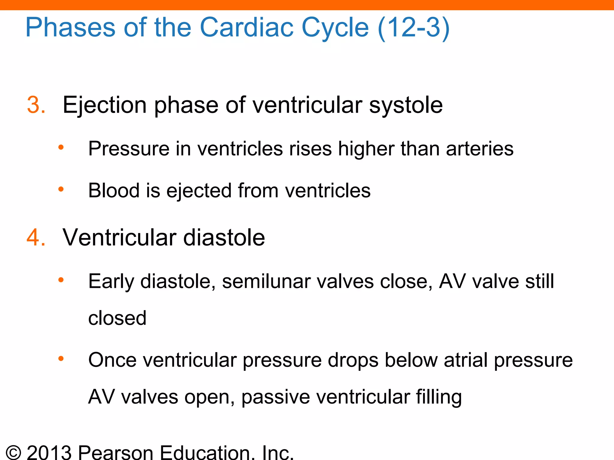 © 2013 Pearson Education, Inc.
Phases of the Cardiac Cycle (12-3)
3. Ejection phase of ventricular systole
• Pressure in ventricles rises higher than arteries
• Blood is ejected from ventricles
4. Ventricular diastole
• Early diastole, semilunar valves close, AV valve still
closed
• Once ventricular pressure drops below atrial pressure
AV valves open, passive ventricular filling
 