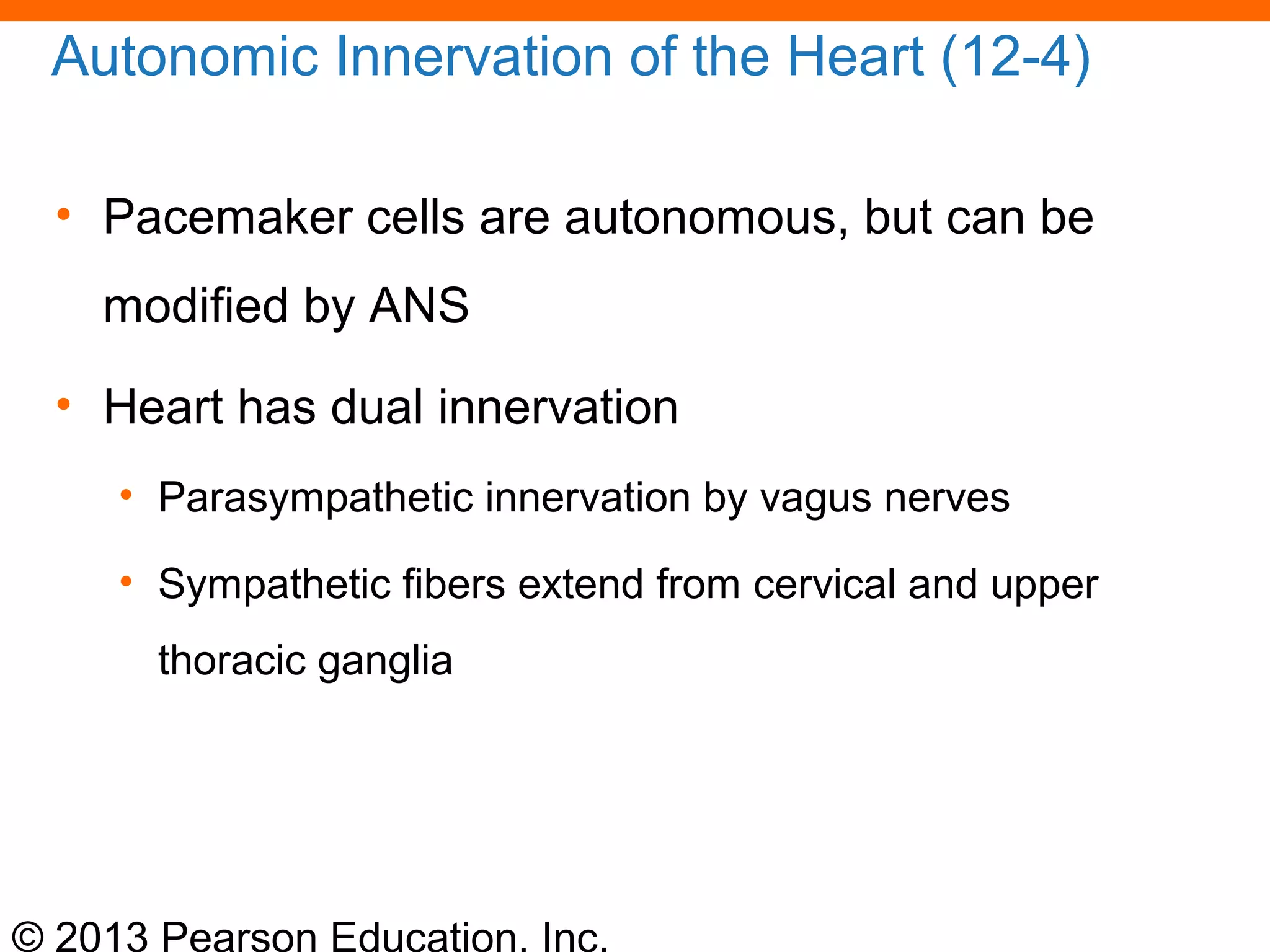 © 2013 Pearson Education, Inc.
Autonomic Innervation of the Heart (12-4)
• Pacemaker cells are autonomous, but can be
modified by ANS
• Heart has dual innervation
• Parasympathetic innervation by vagus nerves
• Sympathetic fibers extend from cervical and upper
thoracic ganglia
 