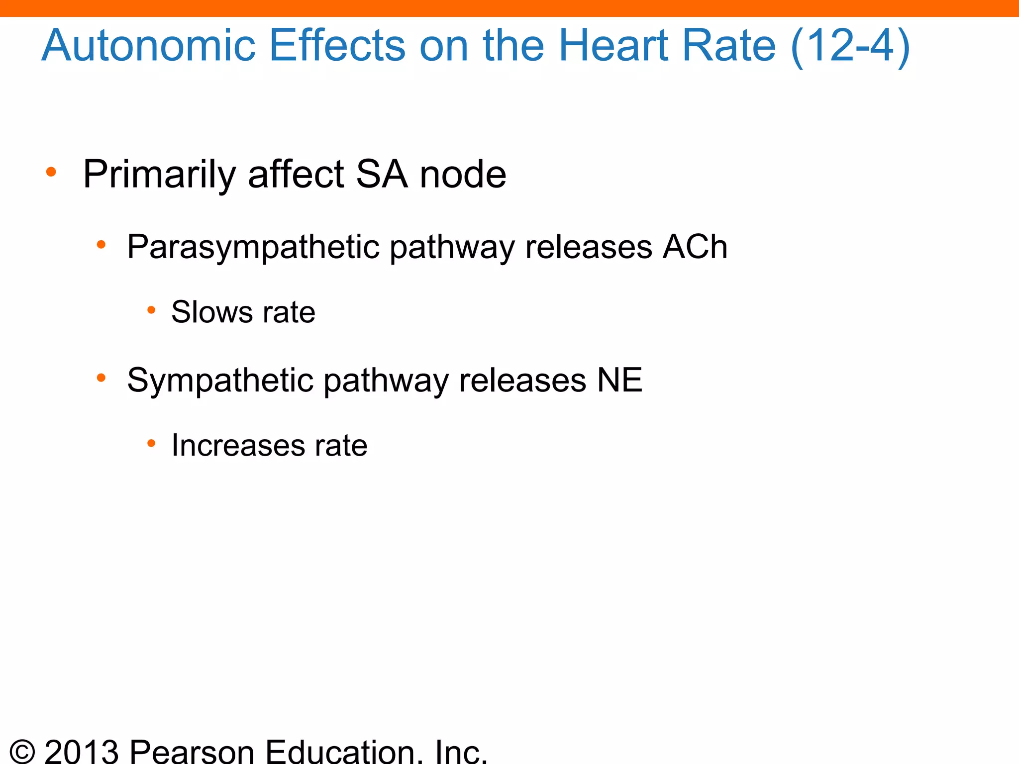 © 2013 Pearson Education, Inc.
Autonomic Effects on the Heart Rate (12-4)
• Primarily affect SA node
• Parasympathetic pathway releases ACh
• Slows rate
• Sympathetic pathway releases NE
• Increases rate
 