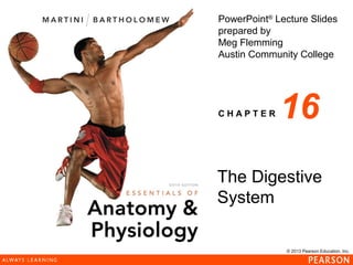 © 2013 Pearson Education, Inc.
PowerPoint®
Lecture Slides
prepared by
Meg Flemming
Austin Community College
C H A P T E R 16
The Digestive
System
 
