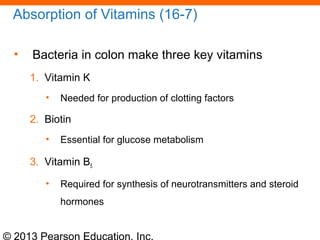 © 2013 Pearson Education, Inc.
Absorption of Vitamins (16-7)
• Bacteria in colon make three key vitamins
1. Vitamin K
• Needed for production of clotting factors
2. Biotin
• Essential for glucose metabolism
3. Vitamin B5
• Required for synthesis of neurotransmitters and steroid
hormones
 
