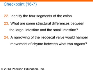 © 2013 Pearson Education, Inc.
Checkpoint (16-7)
22. Identify the four segments of the colon.
23. What are some structural differences between
the large intestine and the small intestine?
24. A narrowing of the ileocecal valve would hamper
movement of chyme between what two organs?
 