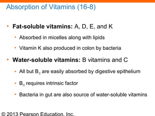 © 2013 Pearson Education, Inc.
Absorption of Vitamins (16-8)
• Fat-soluble vitamins: A, D, E, and K
• Absorbed in micelles along with lipids
• Vitamin K also produced in colon by bacteria
• Water-soluble vitamins: B vitamins and C
• All but B12 are easily absorbed by digestive epithelium
• B12 requires intrinsic factor
• Bacteria in gut are also source of water-soluble vitamins
 