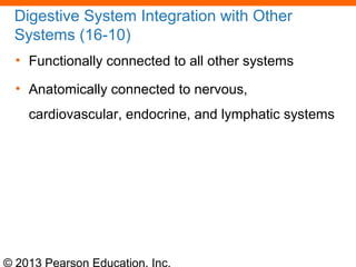 © 2013 Pearson Education, Inc.
Digestive System Integration with Other
Systems (16-10)
• Functionally connected to all other systems
• Anatomically connected to nervous,
cardiovascular, endocrine, and lymphatic systems
 