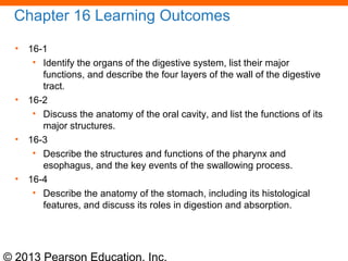 © 2013 Pearson Education, Inc.
Chapter 16 Learning Outcomes
• 16-1
• Identify the organs of the digestive system, list their major
functions, and describe the four layers of the wall of the digestive
tract.
• 16-2
• Discuss the anatomy of the oral cavity, and list the functions of its
major structures.
• 16-3
• Describe the structures and functions of the pharynx and
esophagus, and the key events of the swallowing process.
• 16-4
• Describe the anatomy of the stomach, including its histological
features, and discuss its roles in digestion and absorption.
 