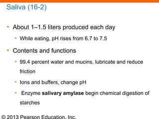 © 2013 Pearson Education, Inc.
Saliva (16-2)
• About 1–1.5 liters produced each day
• While eating, pH rises from 6.7 to 7.5
• Contents and functions
• 99.4 percent water and mucins, lubricate and reduce
friction
• Ions and buffers, change pH
• Enzyme salivary amylase begin chemical digestion of
starches
 