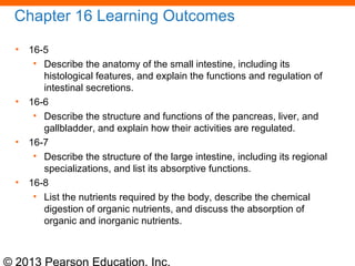 © 2013 Pearson Education, Inc.
Chapter 16 Learning Outcomes
• 16-5
• Describe the anatomy of the small intestine, including its
histological features, and explain the functions and regulation of
intestinal secretions.
• 16-6
• Describe the structure and functions of the pancreas, liver, and
gallbladder, and explain how their activities are regulated.
• 16-7
• Describe the structure of the large intestine, including its regional
specializations, and list its absorptive functions.
• 16-8
• List the nutrients required by the body, describe the chemical
digestion of organic nutrients, and discuss the absorption of
organic and inorganic nutrients.
 