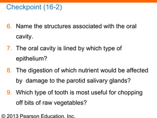© 2013 Pearson Education, Inc.
Checkpoint (16-2)
6. Name the structures associated with the oral
cavity.
7. The oral cavity is lined by which type of
epithelium?
8. The digestion of which nutrient would be affected
by damage to the parotid salivary glands?
9. Which type of tooth is most useful for chopping
off bits of raw vegetables?
 