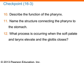 © 2013 Pearson Education, Inc.
Checkpoint (16-3)
10. Describe the function of the pharynx.
11. Name the structure connecting the pharynx to
the stomach.
12. What process is occurring when the soft palate
and larynx elevate and the glottis closes?
 