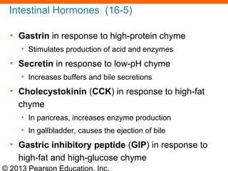 © 2013 Pearson Education, Inc.
Intestinal Hormones (16-5)
• Gastrin in response to high-protein chyme
• Stimulates production of acid and enzymes
• Secretin in response to low-pH chyme
• Increases buffers and bile secretions
• Cholecystokinin (CCK) in response to high-fat
chyme
• In pancreas, increases enzyme production
• In gallbladder, causes the ejection of bile
• Gastric inhibitory peptide (GIP) in response to
high-fat and high-glucose chyme
 
