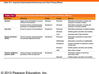 © 2013 Pearson Education, Inc.
Table 16-1 Important Gastrointestinal Hormones and Their Primary Effects
 