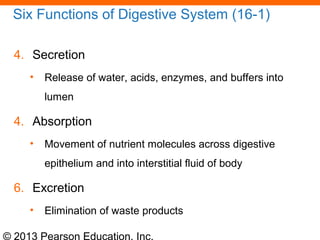 © 2013 Pearson Education, Inc.
Six Functions of Digestive System (16-1)
4. Secretion
• Release of water, acids, enzymes, and buffers into
lumen
4. Absorption
• Movement of nutrient molecules across digestive
epithelium and into interstitial fluid of body
6. Excretion
• Elimination of waste products
 
