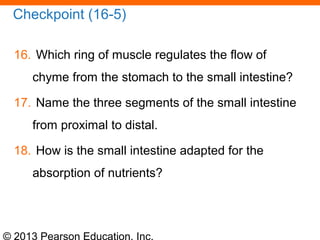 © 2013 Pearson Education, Inc.
Checkpoint (16-5)
16. Which ring of muscle regulates the flow of
chyme from the stomach to the small intestine?
17. Name the three segments of the small intestine
from proximal to distal.
18. How is the small intestine adapted for the
absorption of nutrients?
 